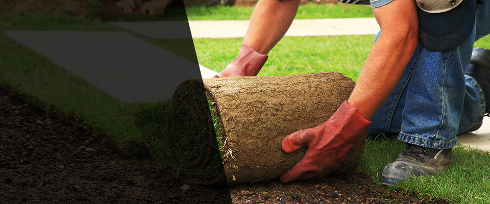 Centerville Landscapers